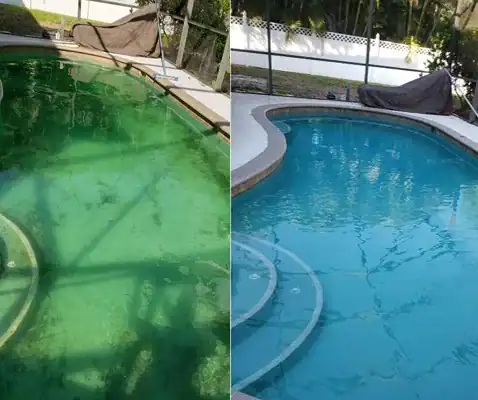 On Time Pool Service and Cleaning and Repair - Green to Clean Pool Cleaning Service with Text Algae - Artwork by Paul Fullylove - Sarasota