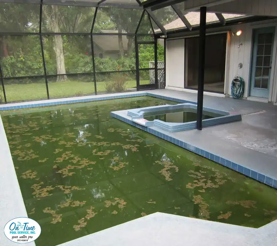 On Time Pool Service and Cleaning and Repair - Green Pool Cleaning Service - Sarasota