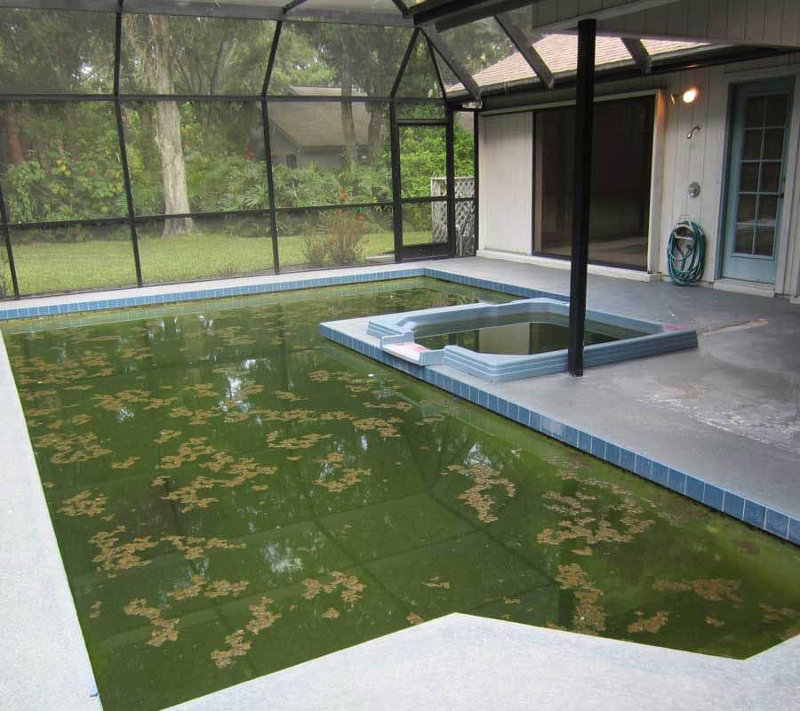 Green to Clean!