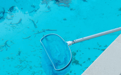 Top 5 Pool Problems in Spring and How to Prevent Them