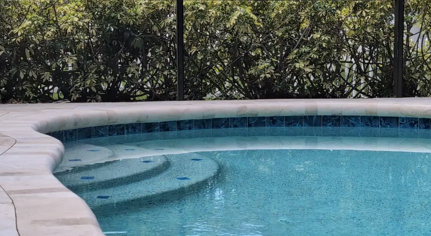 Renovated Sarasota pool with resurfaced entry steps, blue waterline tile, new coping and clear water